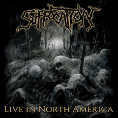 Infecting the Crypts (Live)