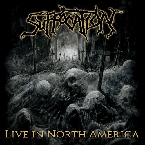 Infecting the Crypts (Live)