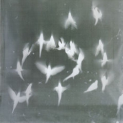 The Mostro Space Jazz Quartet - Byrd Like (Freddie Hubbard)