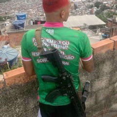 MTG == OH VOVÔ X SEQUÊNCIA DE PAU NA XEREC4 BEAT MODÃO ( DJ MT DO CPX )
