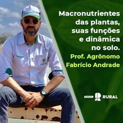 PodCast Rural: Macronutrientes das plantas, suas funções e dinâmica no solo