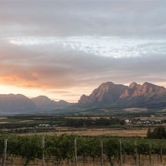 Best Stellenbosch Half Day Wine Tour Tours Review