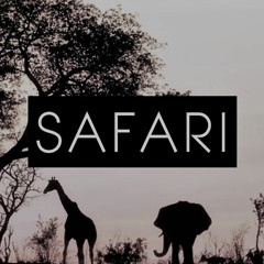 "Safari" (Afrobeat instrumental)