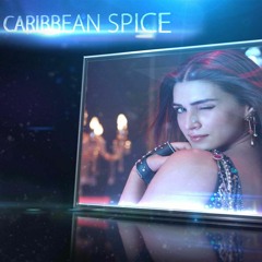 Caribbean Spice Exclusive Remix  Teri Baaton Mein Remix