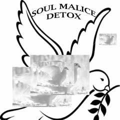 Soul Malice Detox