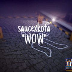 WOW (prod.hozaybeats)