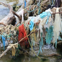 Oceans Are Dying (2022) Anthology CD1 Track 14