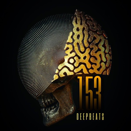 - Para - Deep Beats 153 -