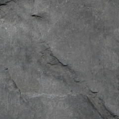 a thousand dollar bed