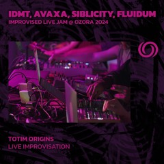 IDMT, AVAXA, SIBLICITY, FLUIDUM - Improvised Live Jam @ OZORA 2024 | TOTIM Origins | 08/01/2024
