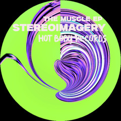 Stereoimagery - How The Muscle Works