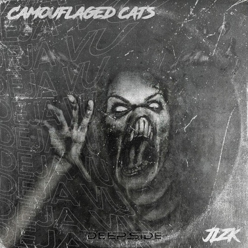 Camøuflaged Cats X JLZK - Deja Vu [DSC]