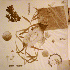 Palm Reader 7: David Grunzweig