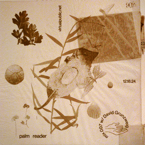 Palm Reader 7: David Grunzweig