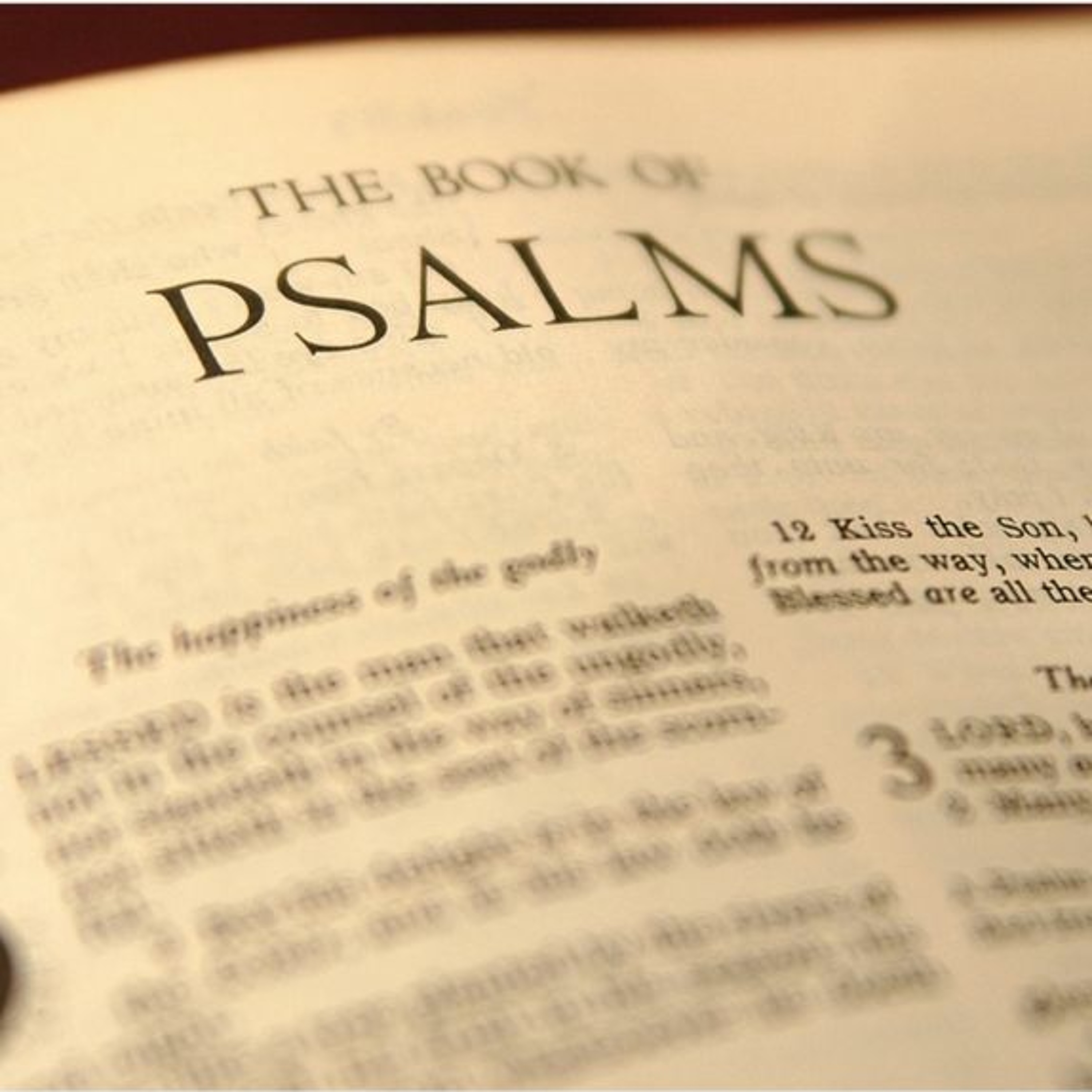 Psalms Week 3 (7-16-23) episode artwork