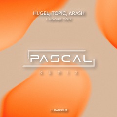 HUGEL X Topic X Arash Feat. Daecolm - I Adore You (PASCAL Remix)