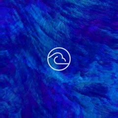 Wacko & Leedman - Embers (Original Mix)