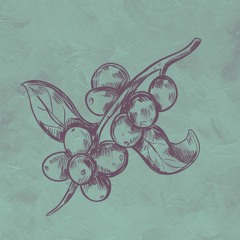 Minus (Original Mix)