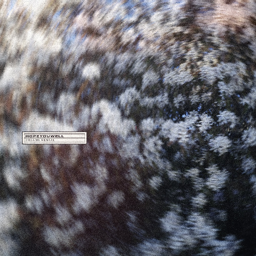 sun print