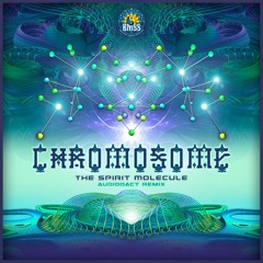 Chromosome - The Spirit Molecule (Audiodact Remix) - Downloadable!