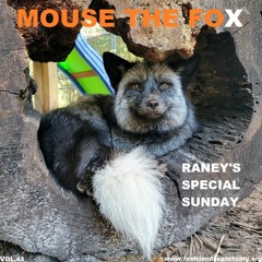MOUSE THE FOX - RANEY'S SPECIAL SUNDAY - VOL.43 - 13.03.2022