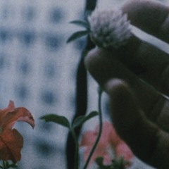 Sun In Your Head w/ Adam Barkley - September 2020