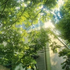 Người Kế Nhiệm 2025 Lyrics