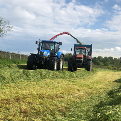 farmers erections are at a all time high