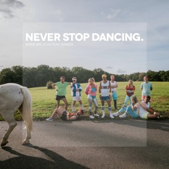 Never Stop Dancing feat. Ginger (Edit)