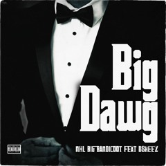 Big Dawg - NHL Big Bandicoot + Dskeez (Prod by. SYNCHRO)