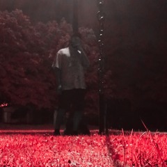 Kiss n Tell