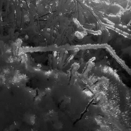 Aleatoric Journeys - Part II - Crystal Cave