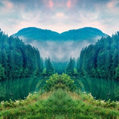 Covered In Money PANDO! Flip (FREE DL Thanks for 2K)