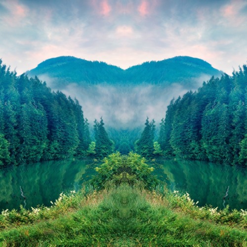 Covered In Money PANDO! Flip (FREE DL Thanks for 2K)