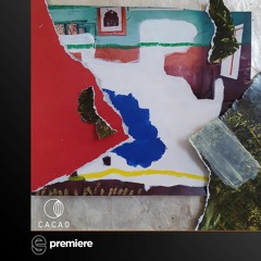 Premiere: Kapibara - N-Yang - Cacao Records