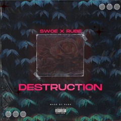 DESTRUCTION - w/RUBE