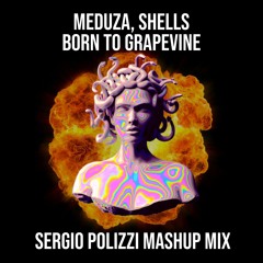 MEDUZA & Shells - Born To Grapevine (Sergio Polizzi Mashup)