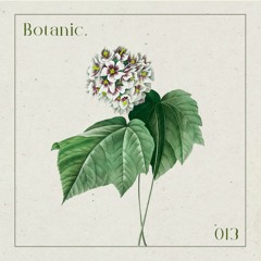 Botanic Podcast - 013 - Cristi Cons