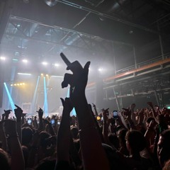 The Parasite In My Head