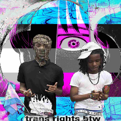 trans rights btw