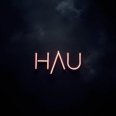 HAU VIBEZ 2025 VOL 11