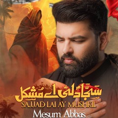 Sajjad (a.s) Lai Ay Mushkil  --  Mesum Abbas  --  2024