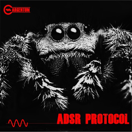 ADSR Protocol (Radio Edit)