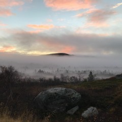 Var snäll mot dig själv