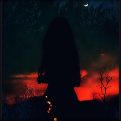 Kybernetix - Nightfall (Wildsilences Experiment)