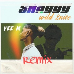 Shaggy - Wild 2nide ( Vee M Remix )