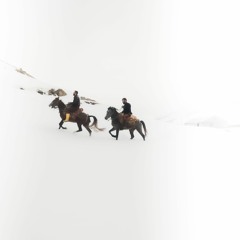 Siwaro - Hisên Têmir, Mehmûd Berazî