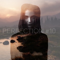 PERFECTION #10