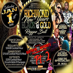 Black and Gold Party In Richmond Va pt2
