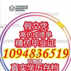 办理TUD学位证书